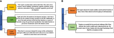 Fish Feed Intake, Feeding Behavior, and the Physiological Response of Apelin to Fasting and Refeeding